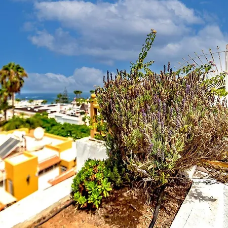 Los Geranios Apartamento Costa Adeje (Tenerife)